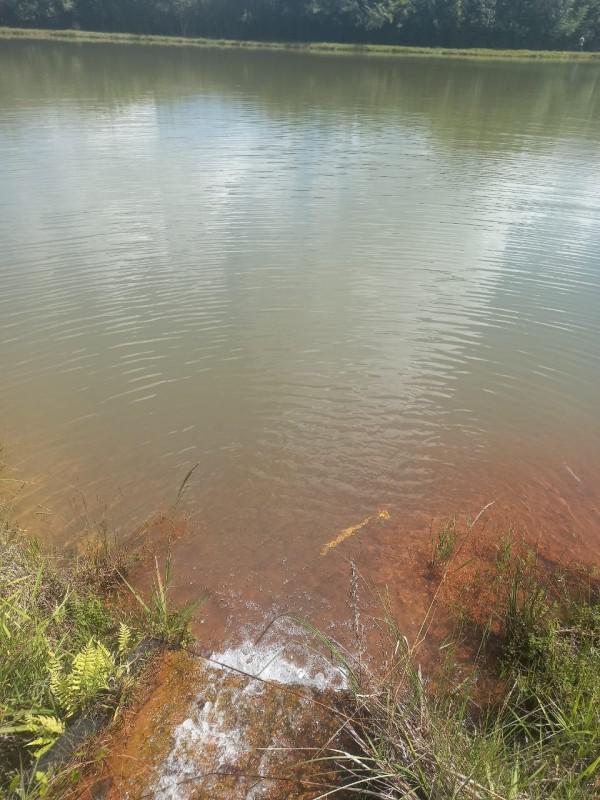 Fazenda, Zona Rural, 0 Quarto, 0 Vaga