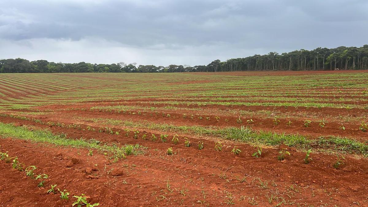 Fazenda, Zona Rural, 3 Quartos, 0 Vaga