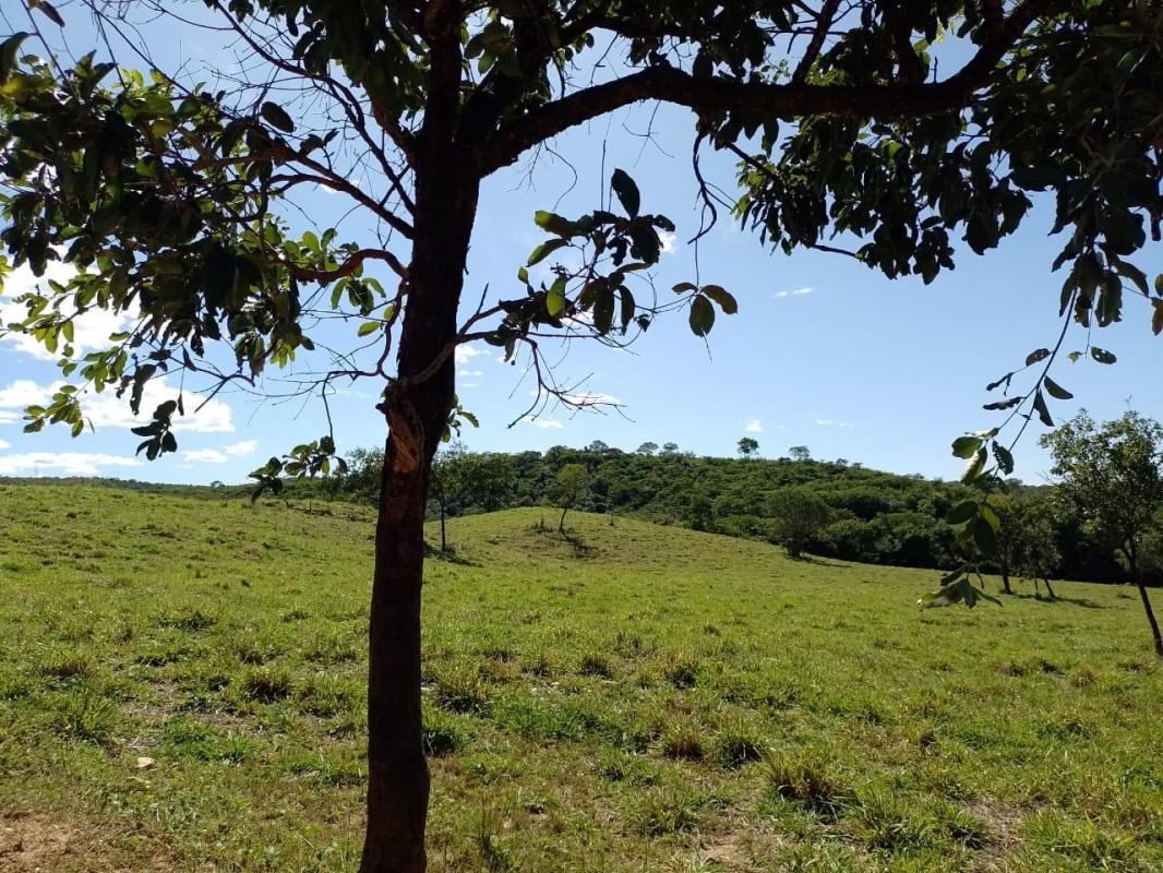 Fazenda, Centro, 10 Quartos, 0 Vaga, 2 Suítes