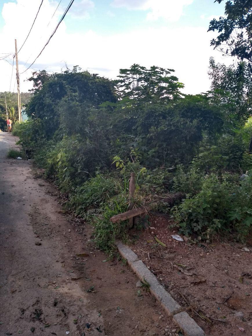 Lote, São João