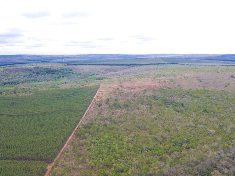 Fazenda, Centro, 0 Quarto, 0 Vaga