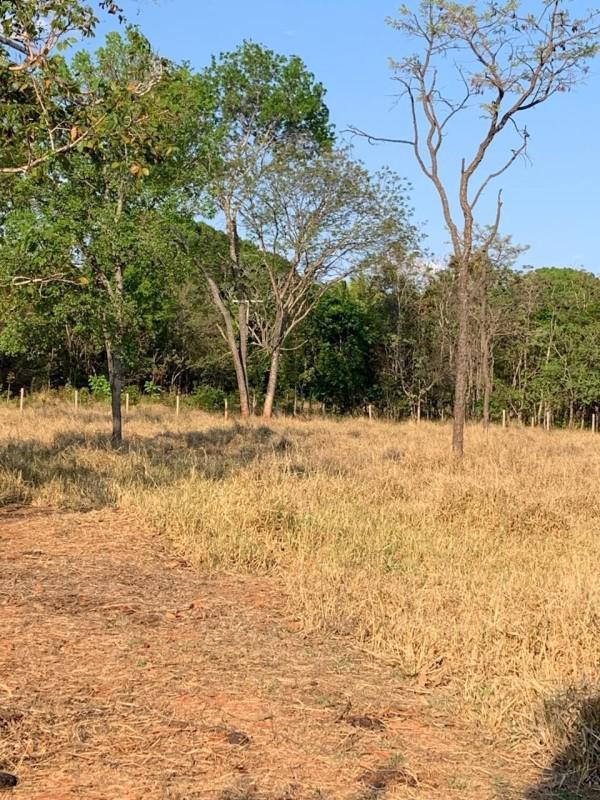Fazenda, Centro, 0 Quarto, 0 Vaga