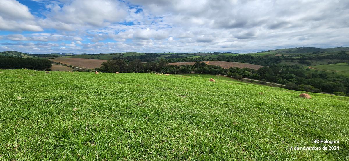 Fazenda, Centro, 3 Quartos, 0 Vaga