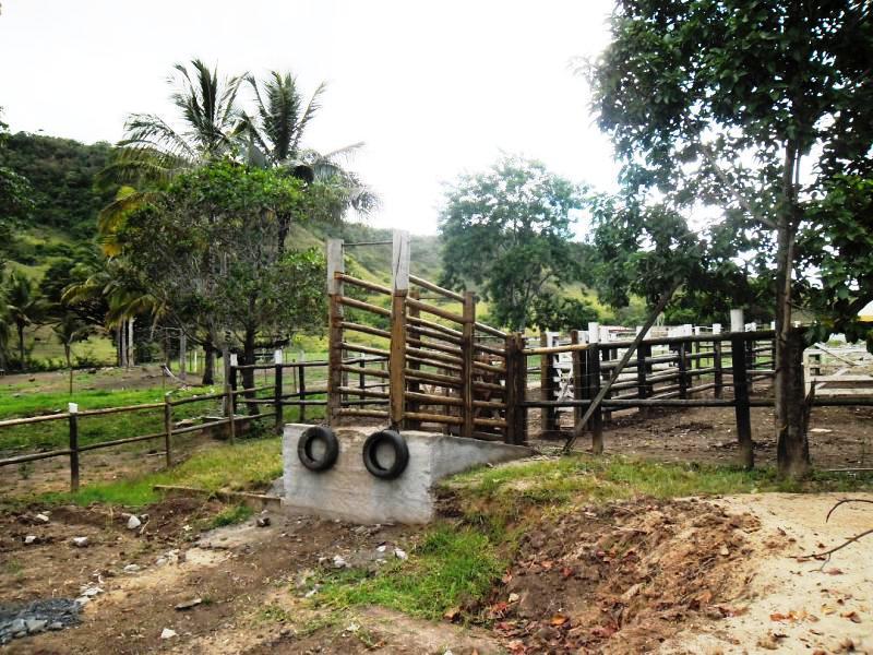 Fazenda, Centro, 3 Quartos, 20 Vagas, 3 Suítes