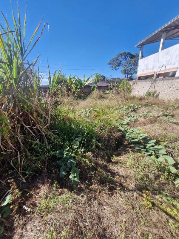 Lote, Quintas do Jacuba, 0 Quarto, 0 Vaga