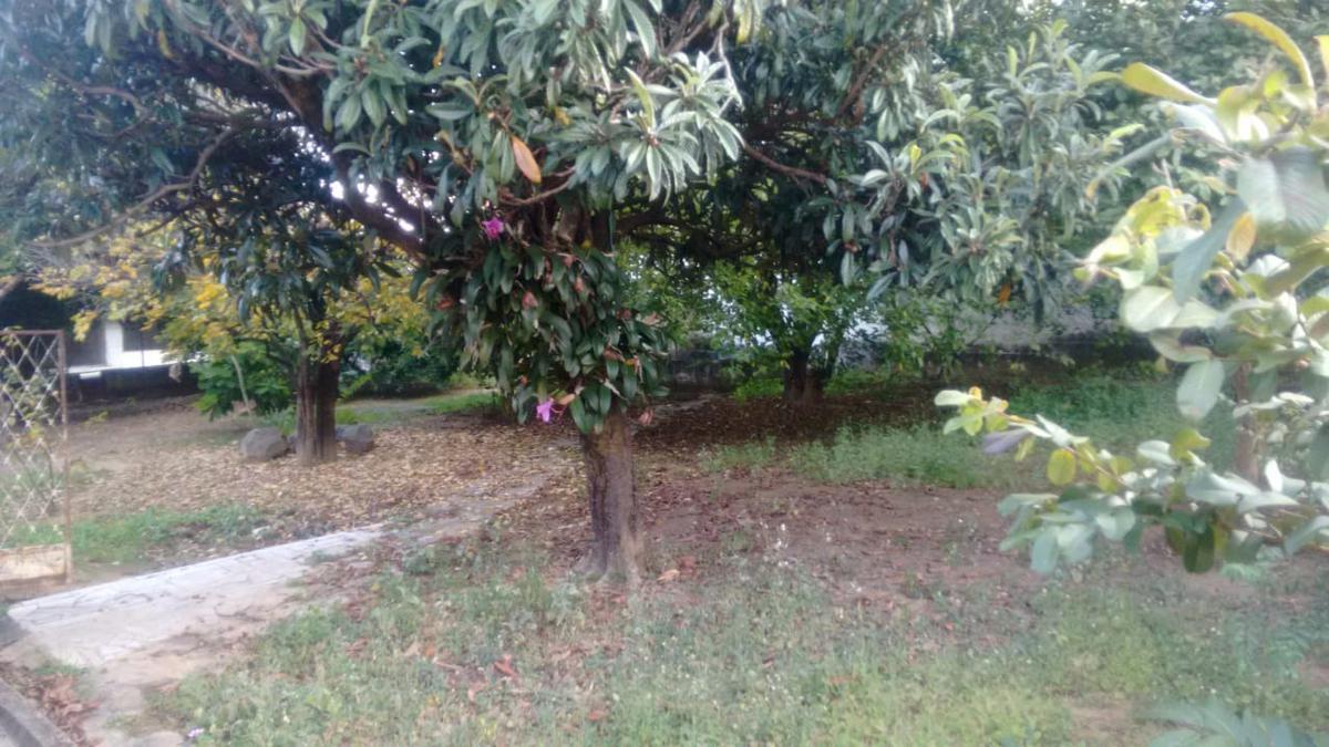 Casa, Pompéia, 5 Quartos, 0 Vaga