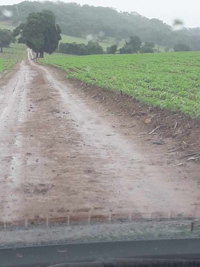 Fazenda, Centro, 1 Quarto, 1 Vaga, 1 Suíte