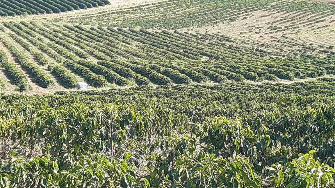 Fazenda, Centro, 3 Quartos, 1 Vaga