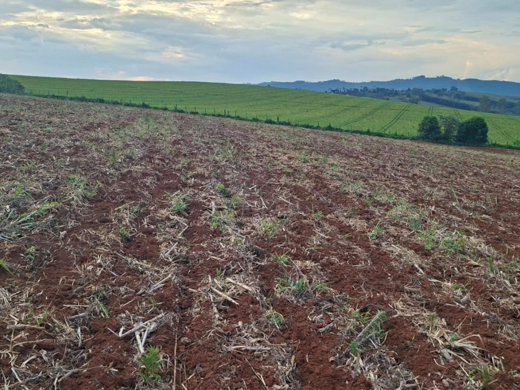Fazenda, Zona Rural, 0 Quarto, 0 Vaga