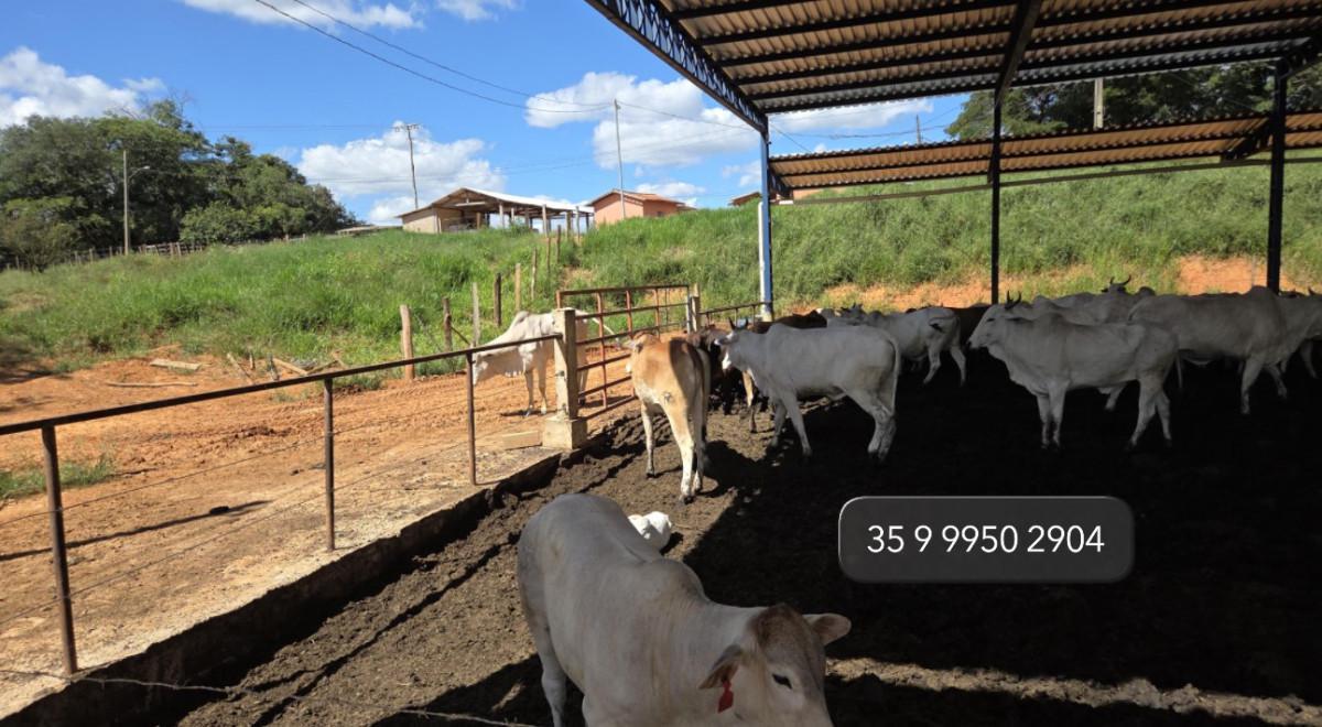 Fazenda, Zona Rural, 3 Quartos, 0 Vaga, 1 Suíte