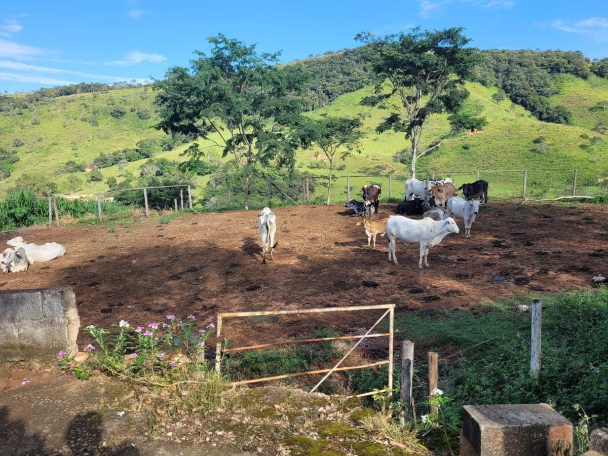 Fazenda, Zona Rural, 3 Quartos, 0 Vaga