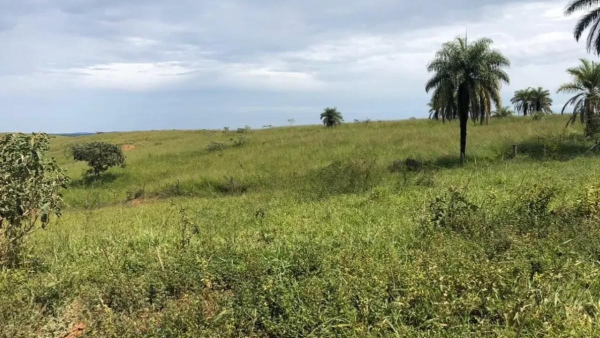 Fazenda, Zona Rural, 0 Quarto, 0 Vaga