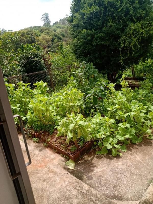 Fazenda, Centro, 0 Quarto, 0 Vaga