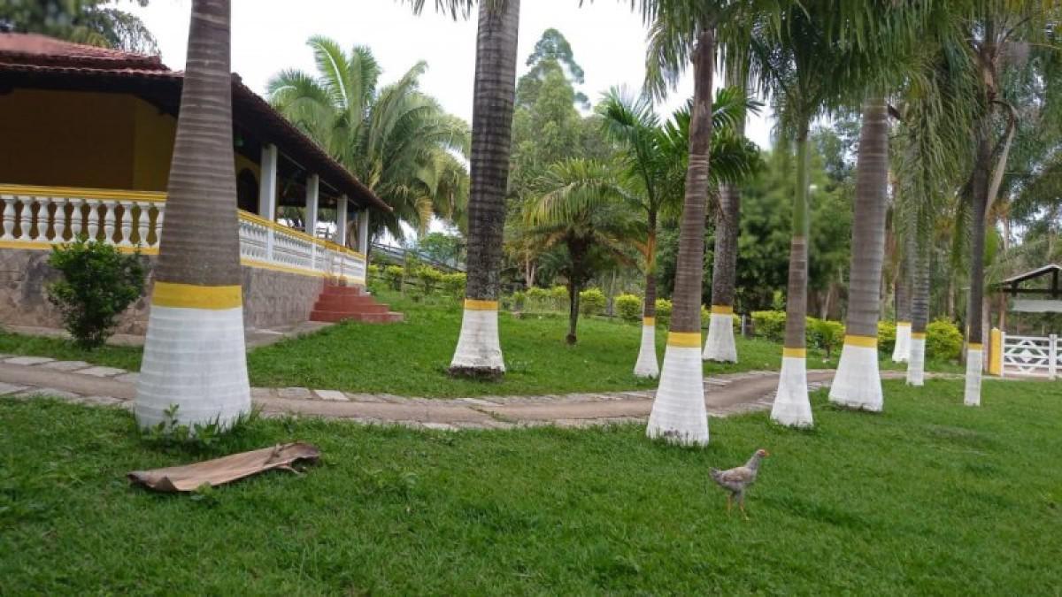 Fazenda, Centro, 6 Quartos, 3 Vagas