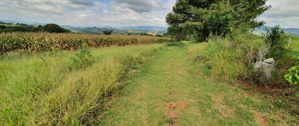 Lote, Centro, 4 Quartos, 2 Vagas