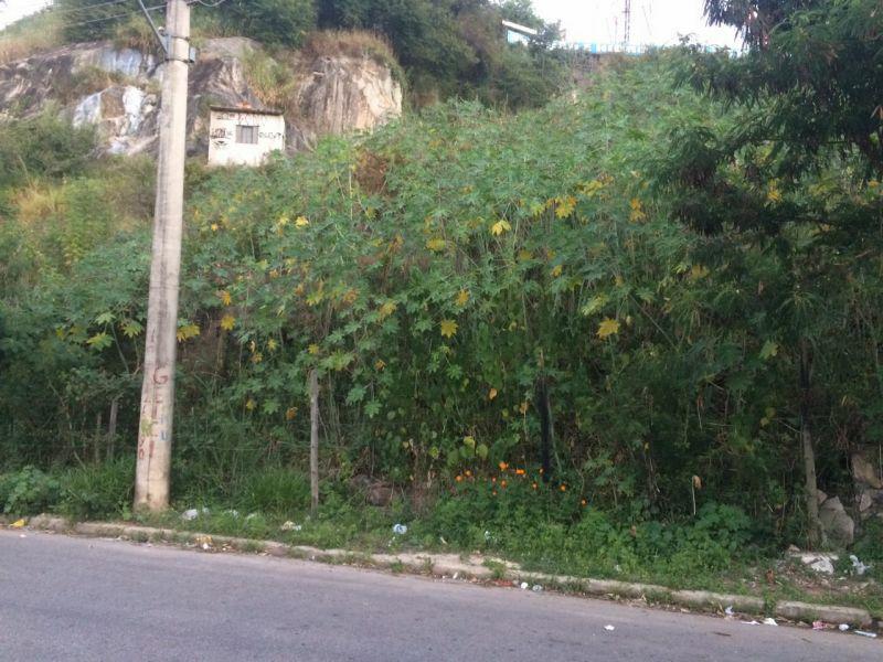 Lote, Nações Unidas, 0 Quarto, 0 Vaga
