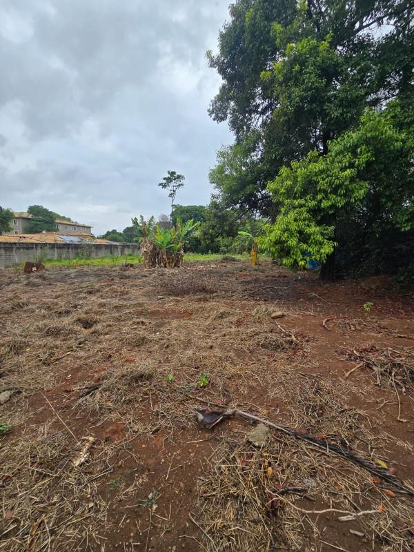 Lote, Chácara Novo Horizonte, 0 Quarto, 0 Vaga