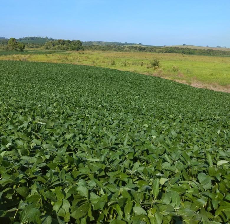 Fazenda, Centro, 0 Quarto, 0 Vaga