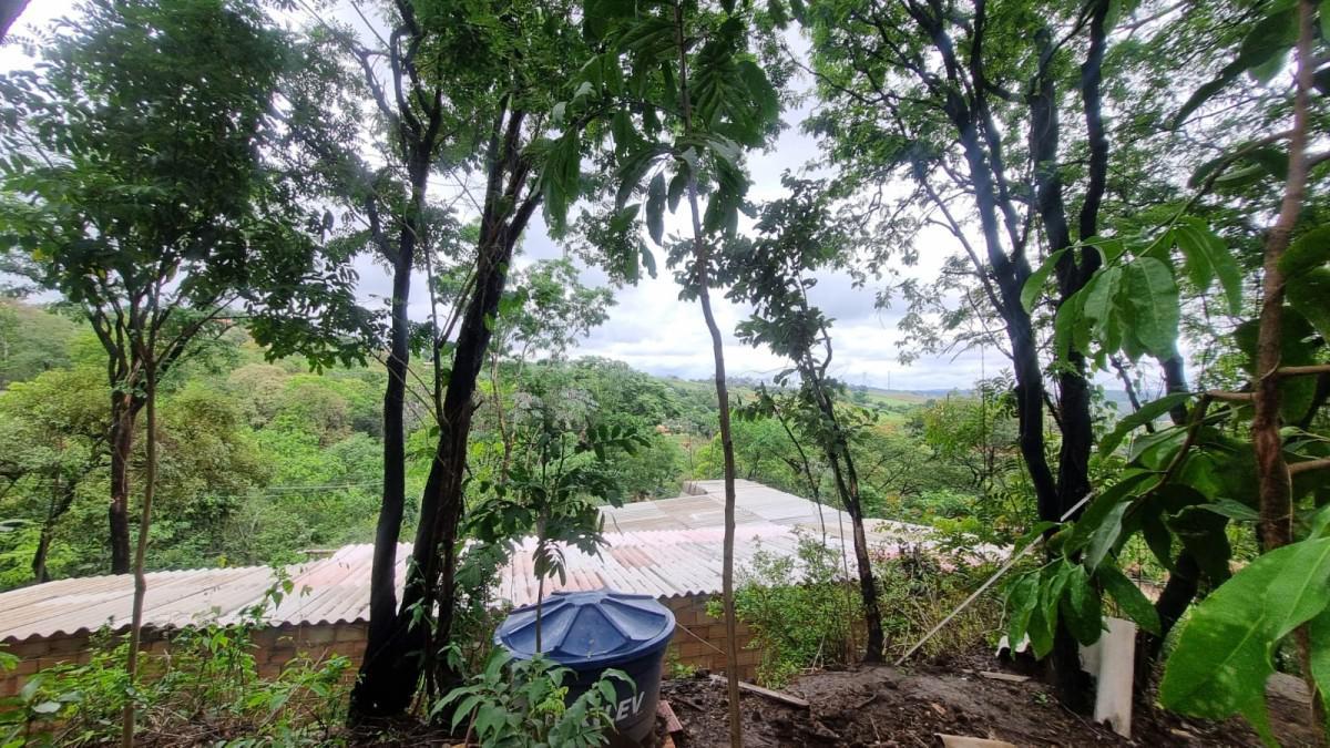 Fazenda, Centro, 0 Quarto, 0 Vaga