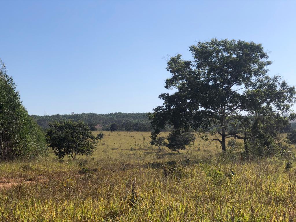 Fazenda, Zona Rural, 3 Quartos, 0 Vaga