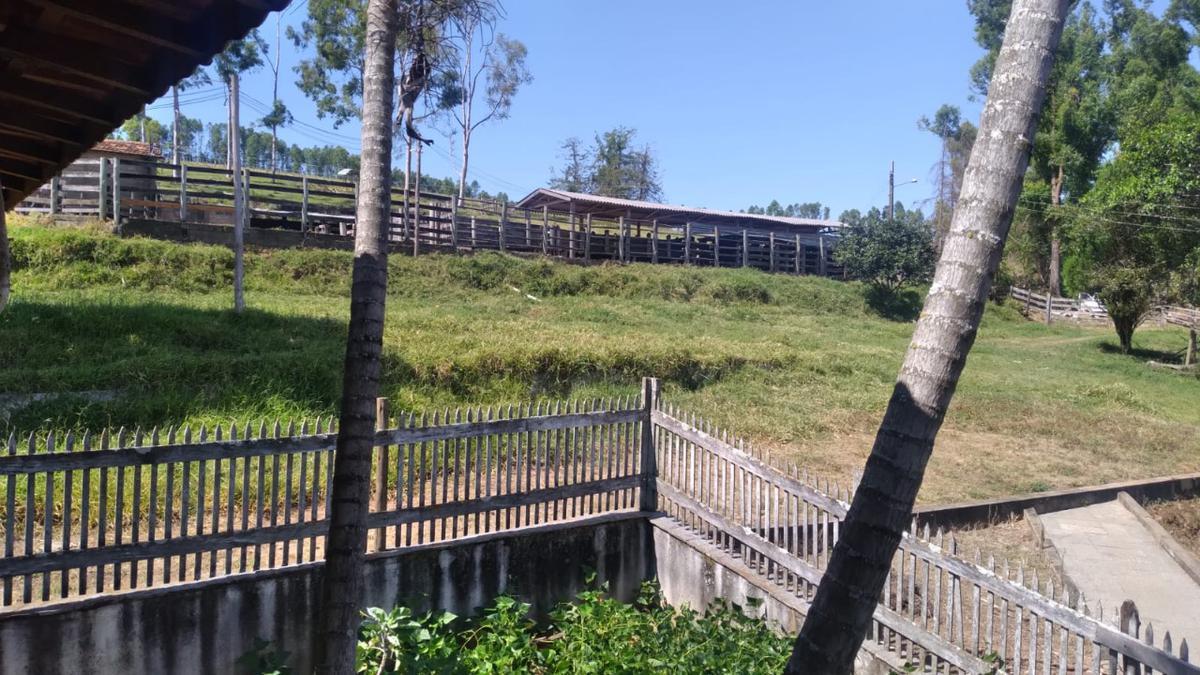 Fazenda, Centro, 0 Quarto, 0 Vaga