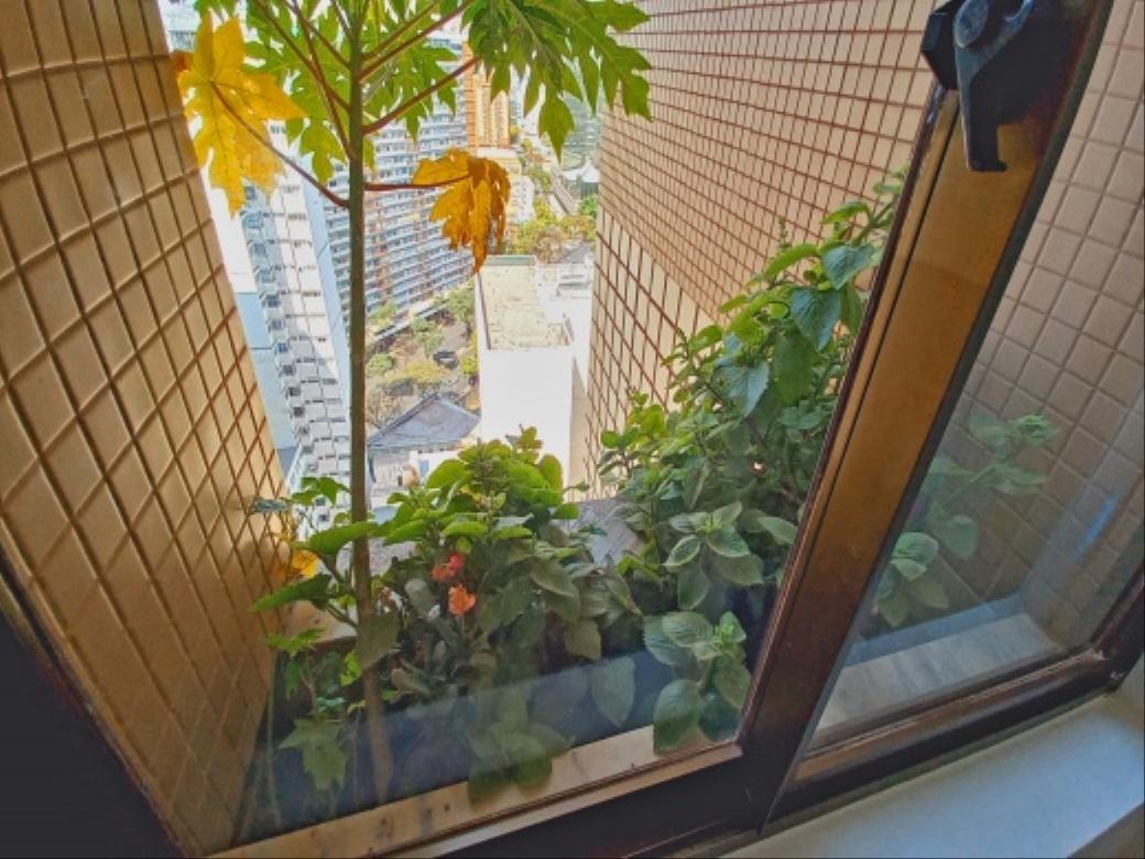 Apartamento, Boa Viagem, 1 Quarto, 1 Vaga
