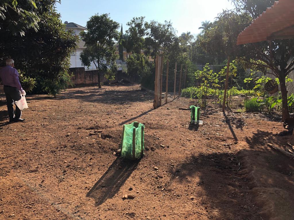 Lote, São Luiz (pampulha)