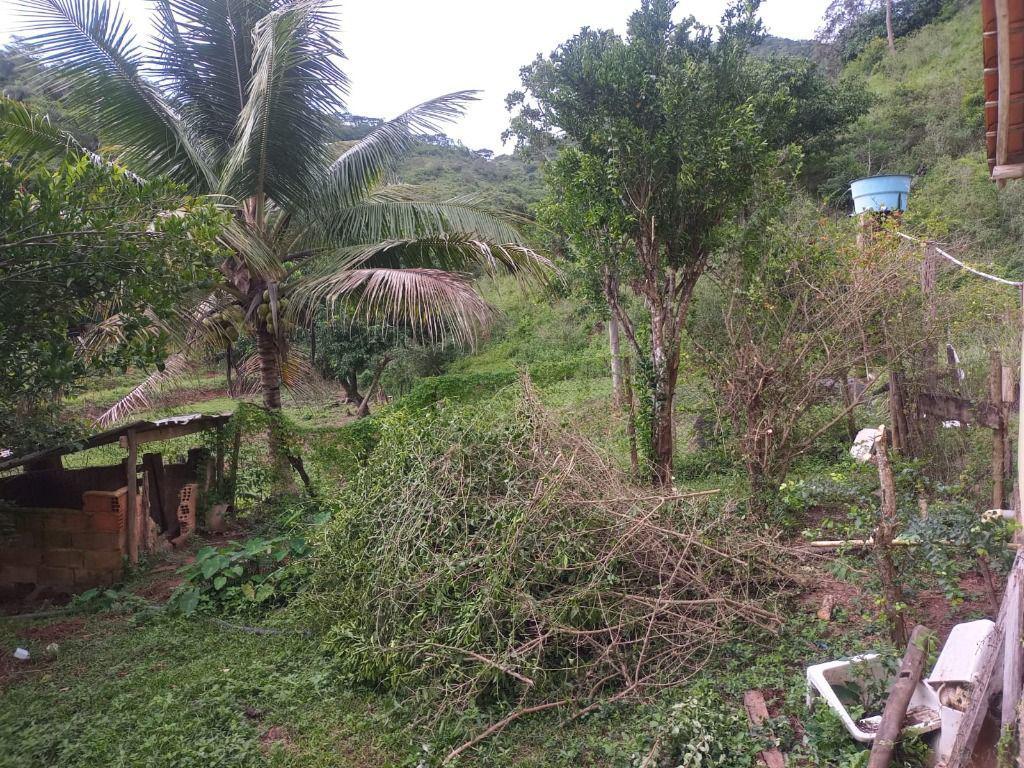 Fazenda, Centro, 3 Quartos, 0 Vaga, 1 Suíte