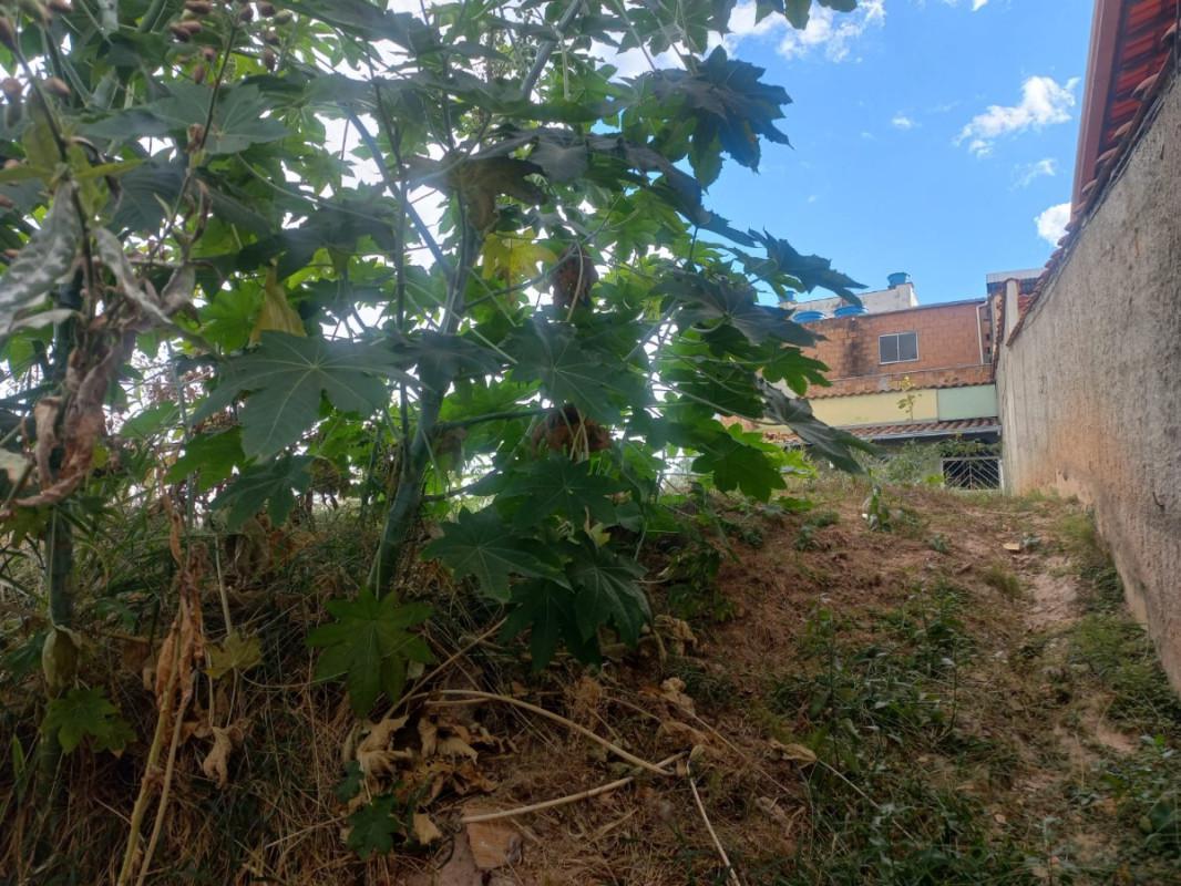 Lote, São Tomáz, 0 Quarto, 0 Vaga