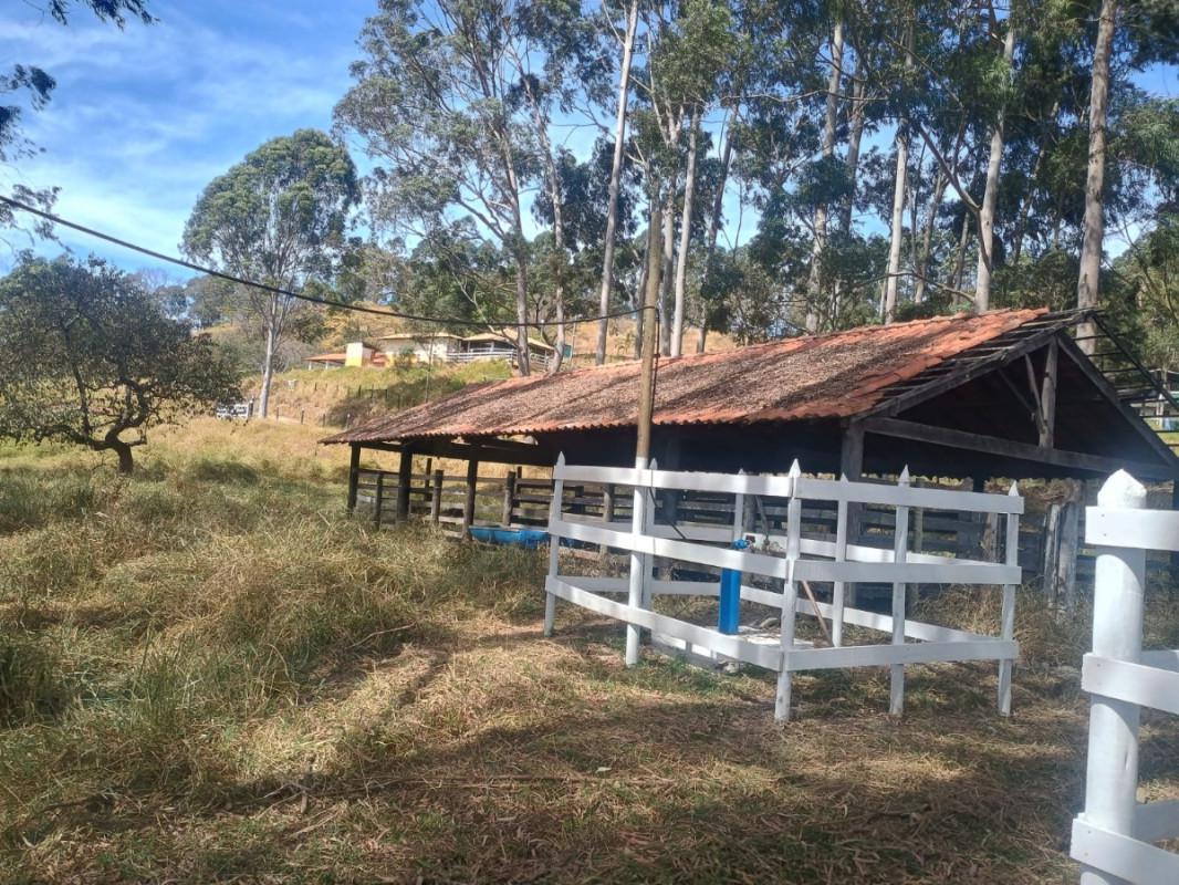Fazenda, Centro, 7 Quartos, 0 Vaga, 2 Suítes