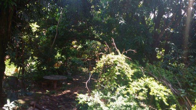 Lote, Betânia, 0 Quarto, 0 Vaga