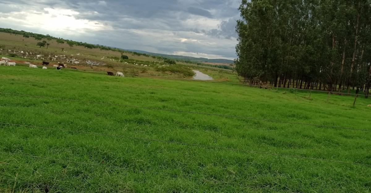 Fazenda, Zona Rural, 0 Quarto, 0 Vaga