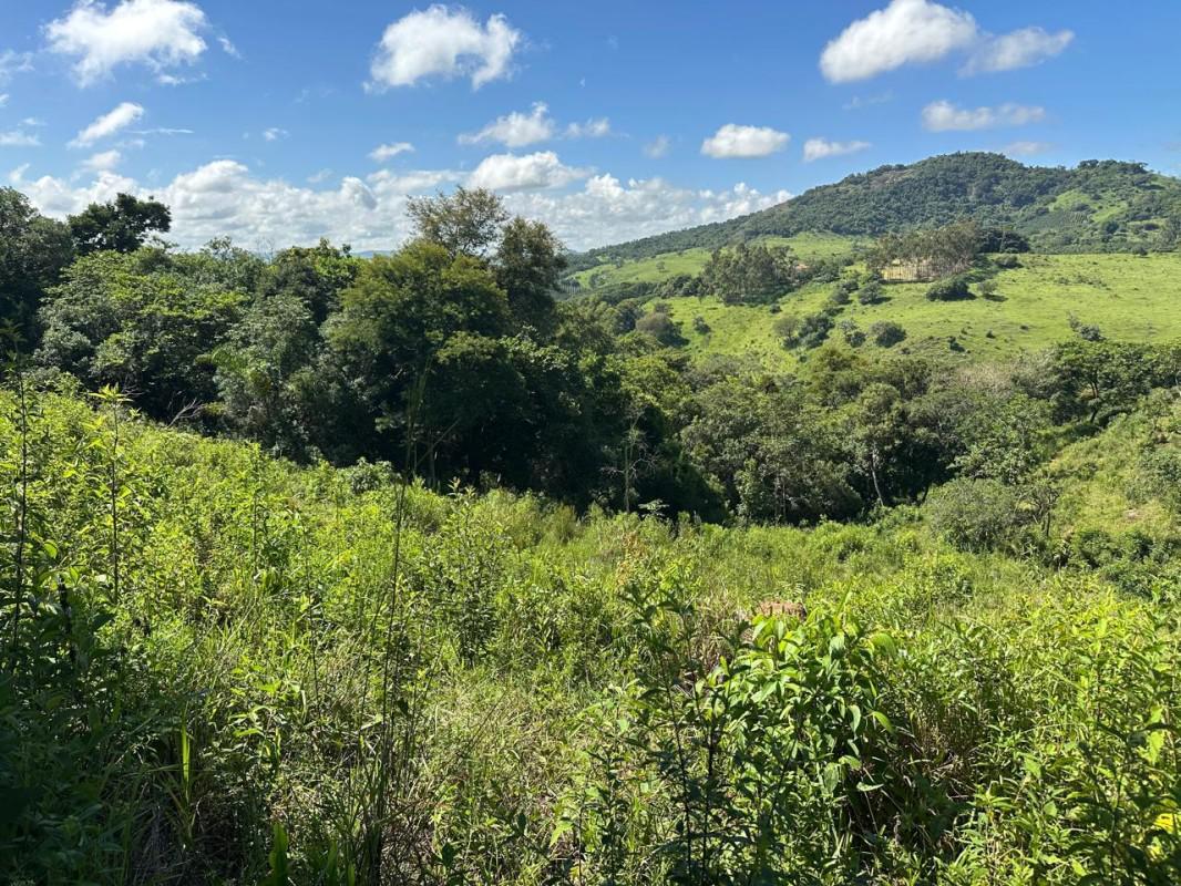 Fazenda, Centro, 0 Quarto, 0 Vaga