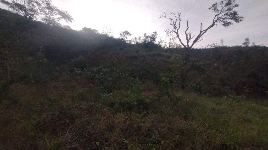 Lote, Paciência, 0 Quarto, 0 Vaga
