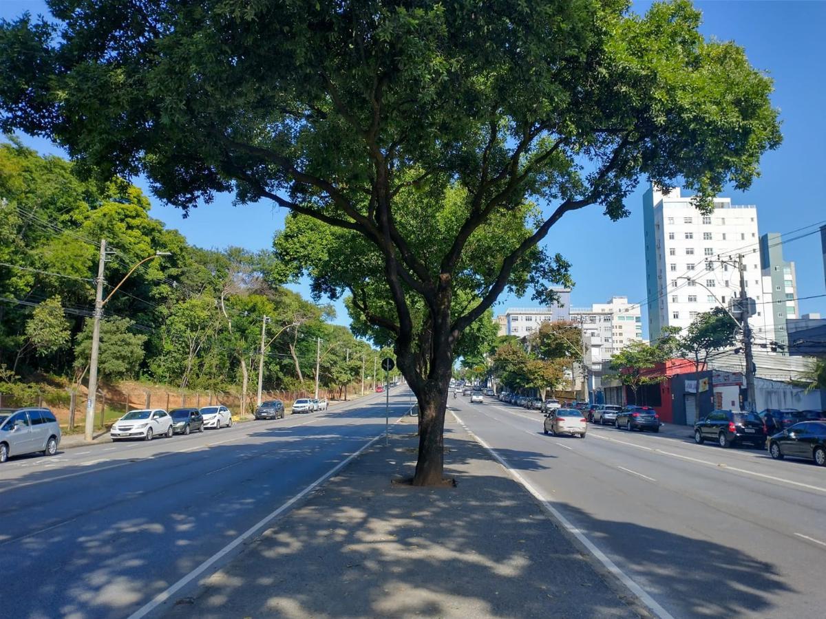 Sala, São José, 0 Quarto, 0 Vaga