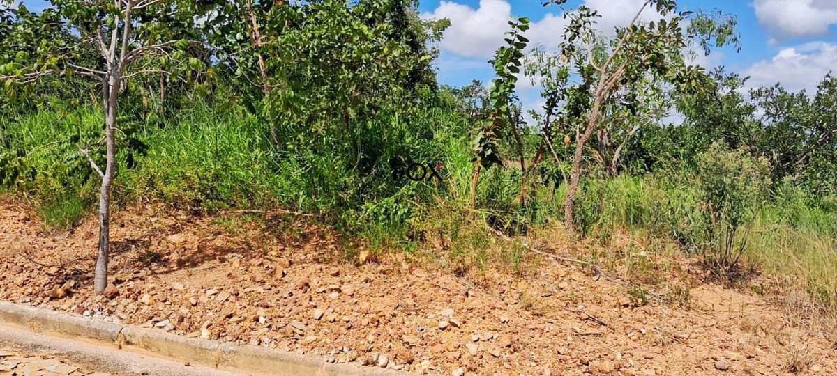 Lote, Centro, 0 Quarto, 0 Vaga