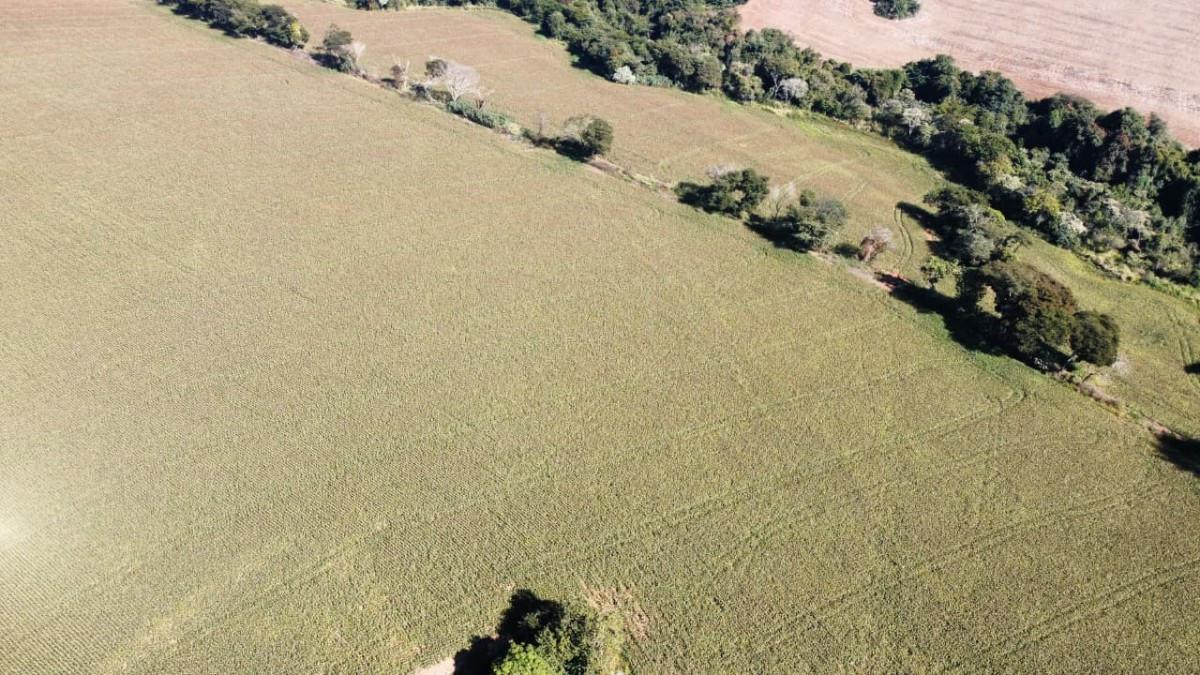 Fazenda, Centro, 0 Quarto, 0 Vaga