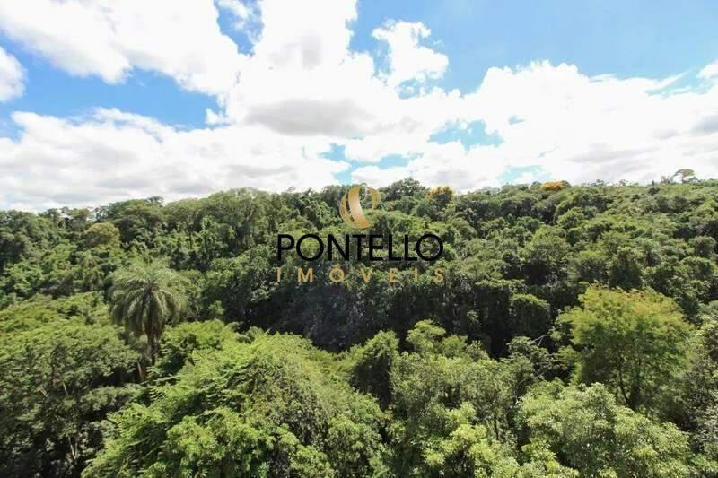 Apartamento, Castelo, 3 Quartos, 2 Vagas, 1 Suíte