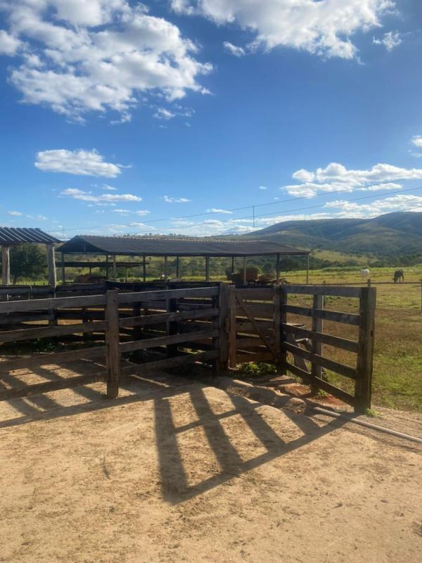 Fazenda, Zona Rural, 0 Quarto, 0 Vaga