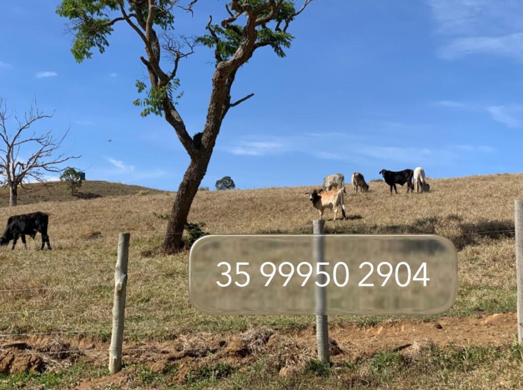 Fazenda, Zona Rural, 0 Quarto, 0 Vaga