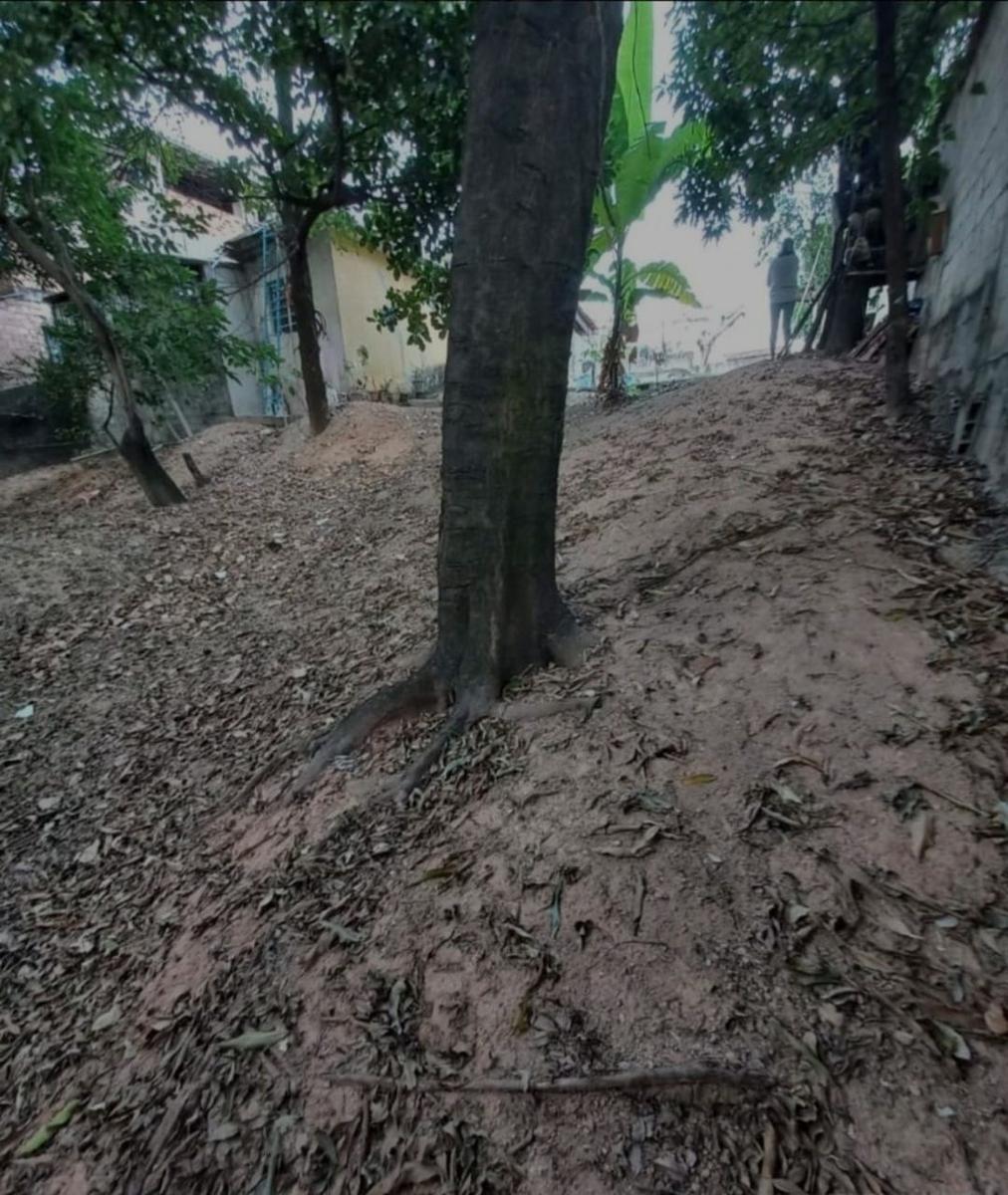 Lote, São Francisco, 0 Quarto, 0 Vaga