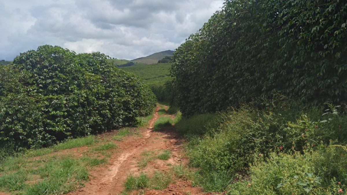 Fazenda, Centro, 3 Quartos, 2 Vagas, 1 Suíte