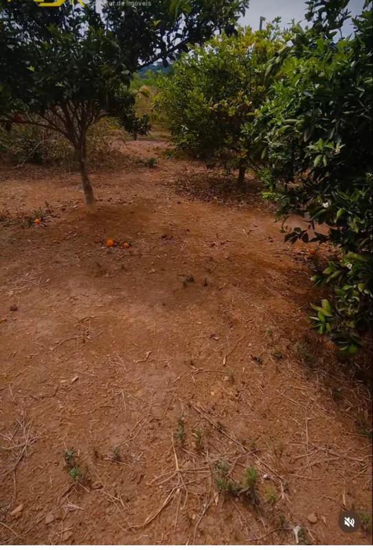 Fazenda, Condomínio Tiradentes, 4 Quartos, 8 Vagas, 1 Suíte