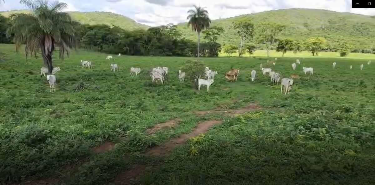 Fazenda, Zona Rural, 0 Quarto, 0 Vaga