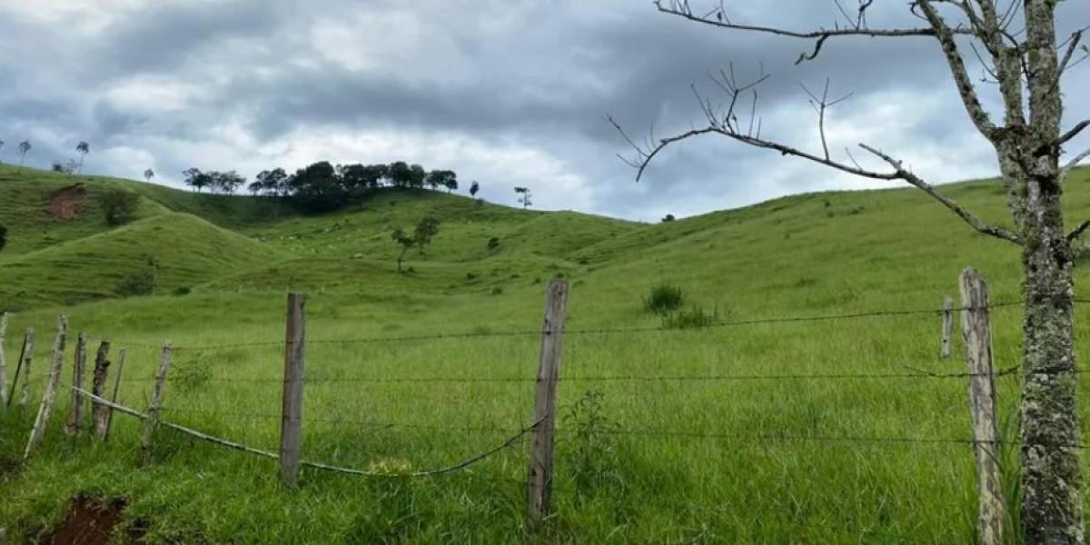Fazenda, Zona Rural, 0 Quarto, 0 Vaga