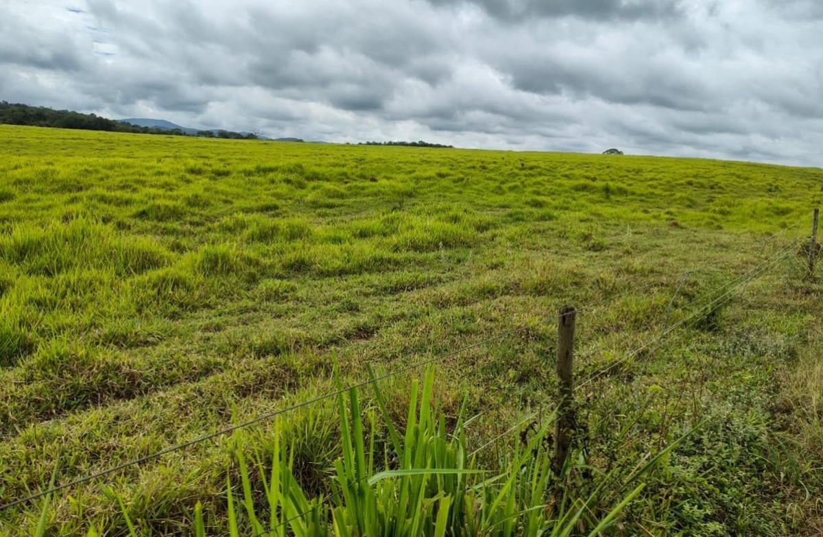 Fazenda, Zona Rural, 5 Quartos, 0 Vaga