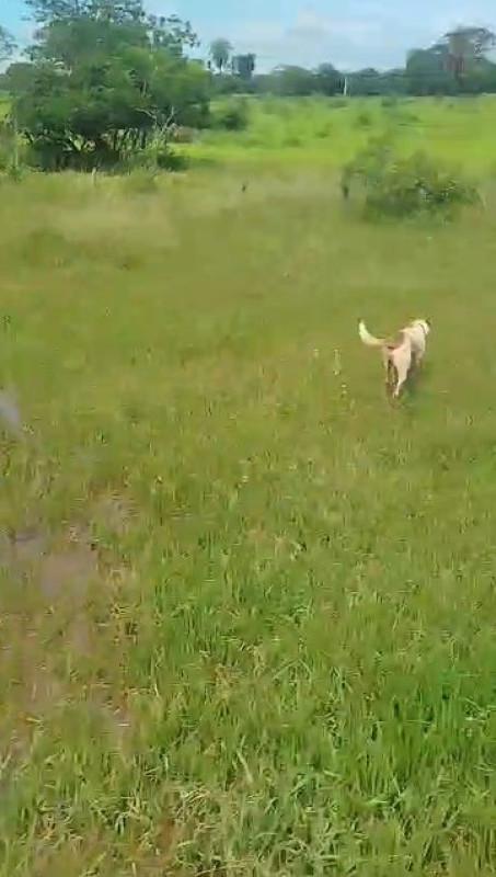 Fazenda, Zona Rural, 0 Quarto, 0 Vaga