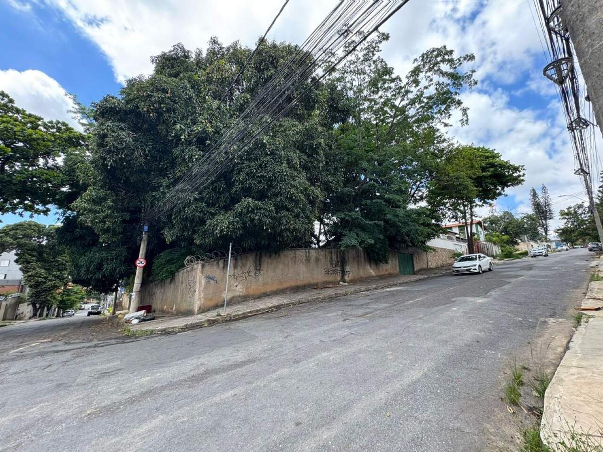 Lote, São Luiz (pampulha), 0 Quarto, 0 Vaga