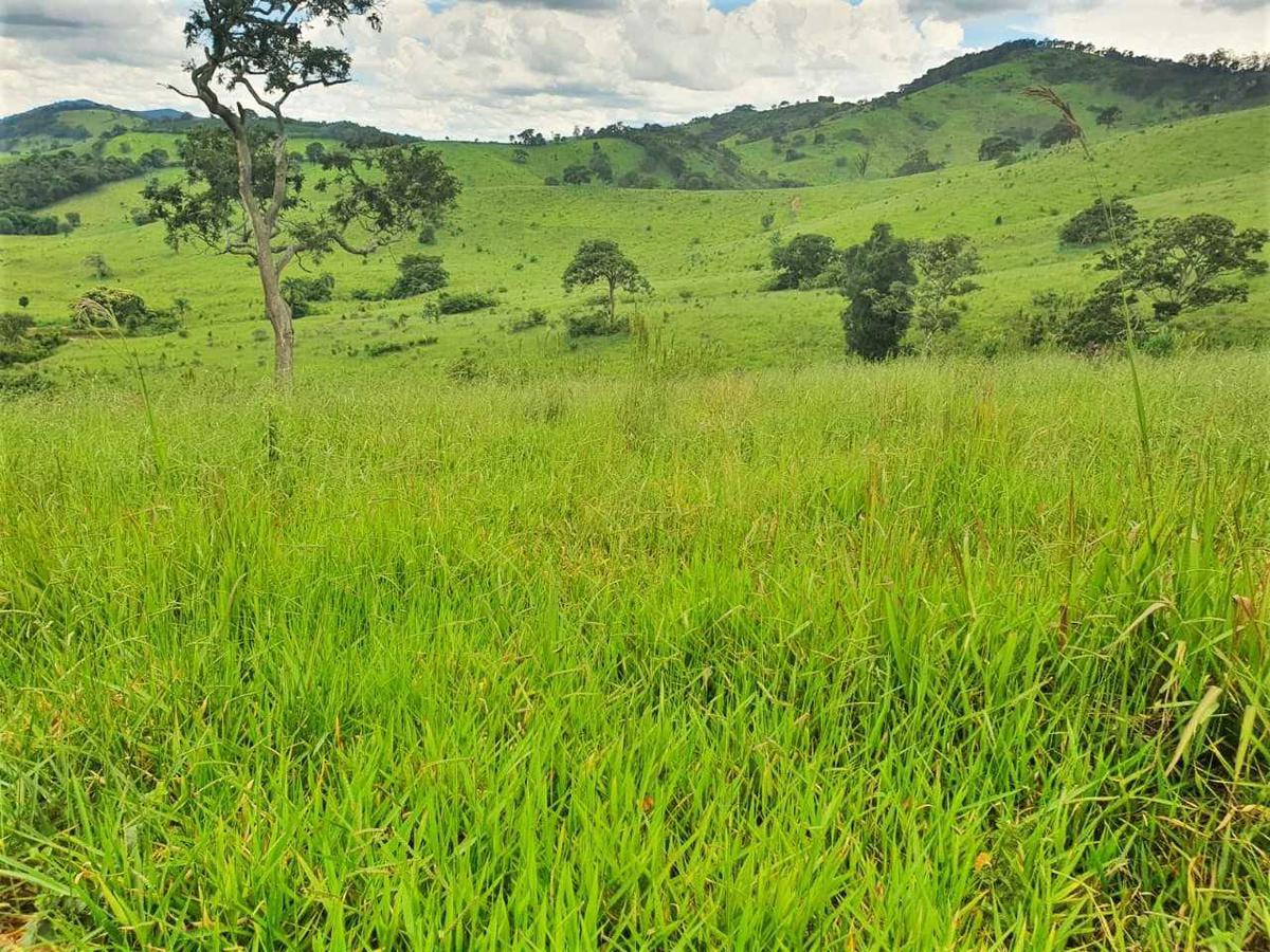 Fazenda, Zona Rural, 4 Quartos, 0 Vaga