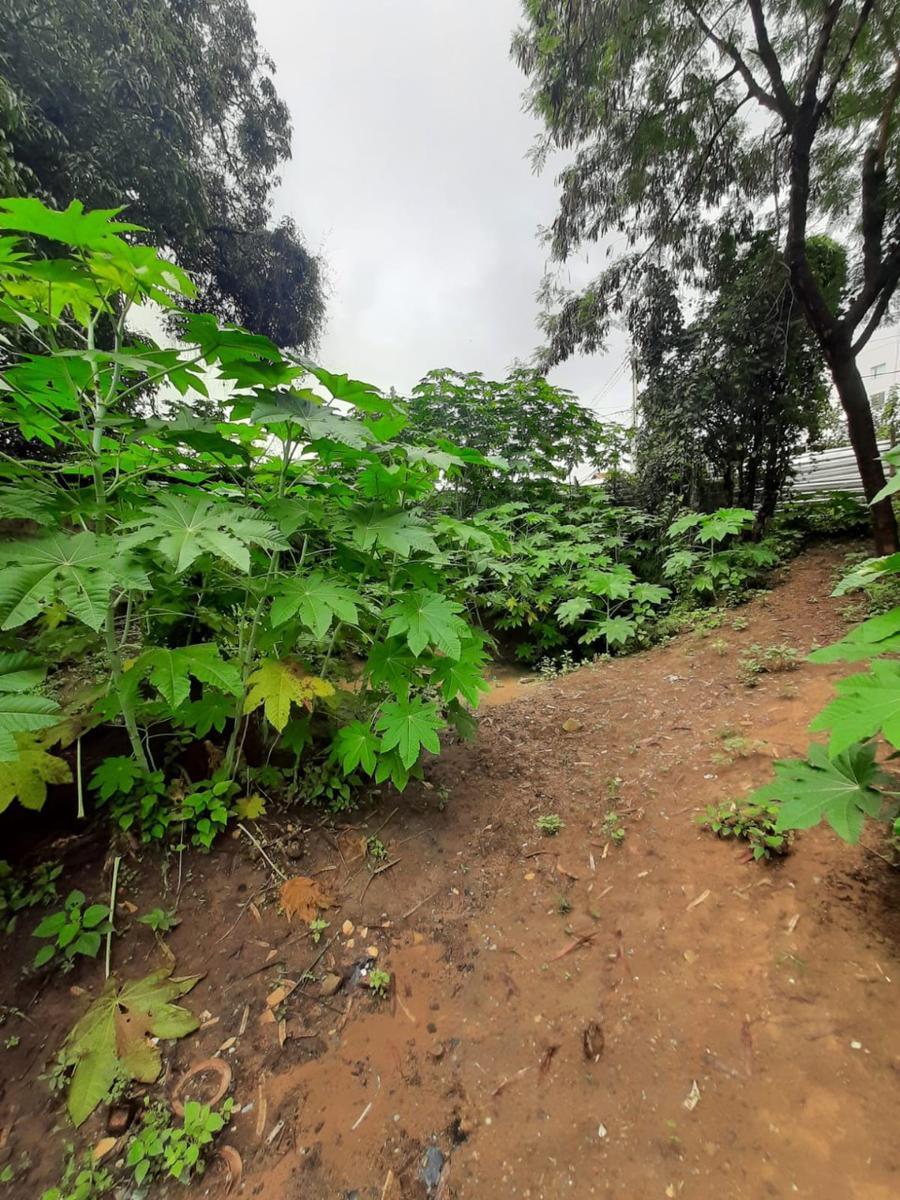 Lote, Alvorada, 0 Quarto, 0 Vaga